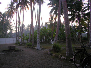 Garden Sri-Lanka