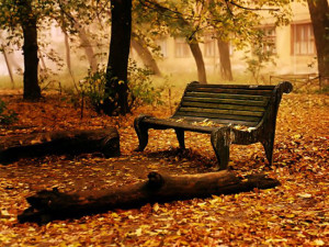 autunno.2. Bench