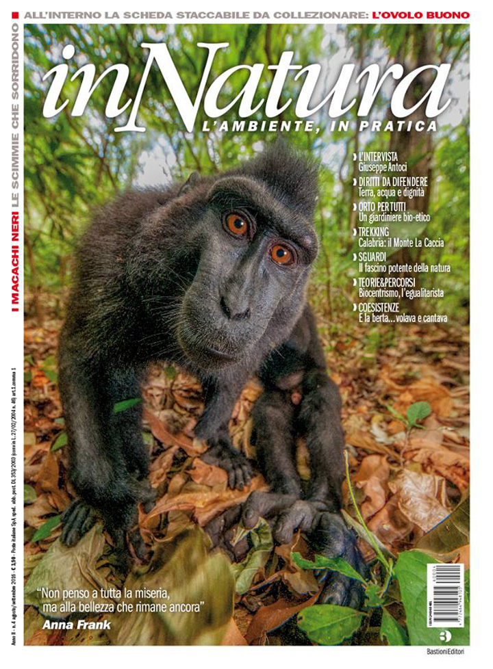 In Edicola Il N 4 Della Rivista In Natura Ponza Racconta