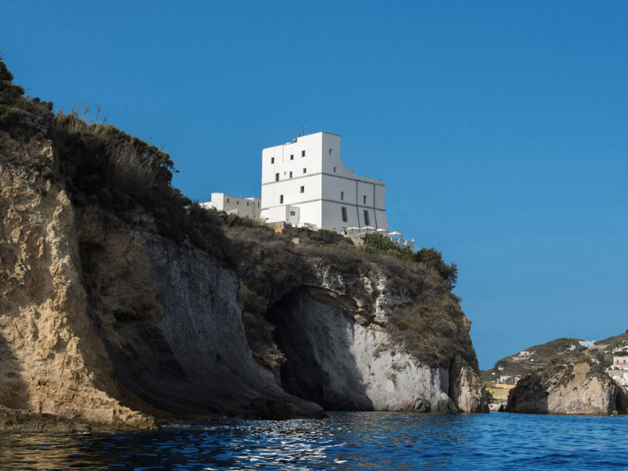 I fiori del mare (2) - Ponza Racconta