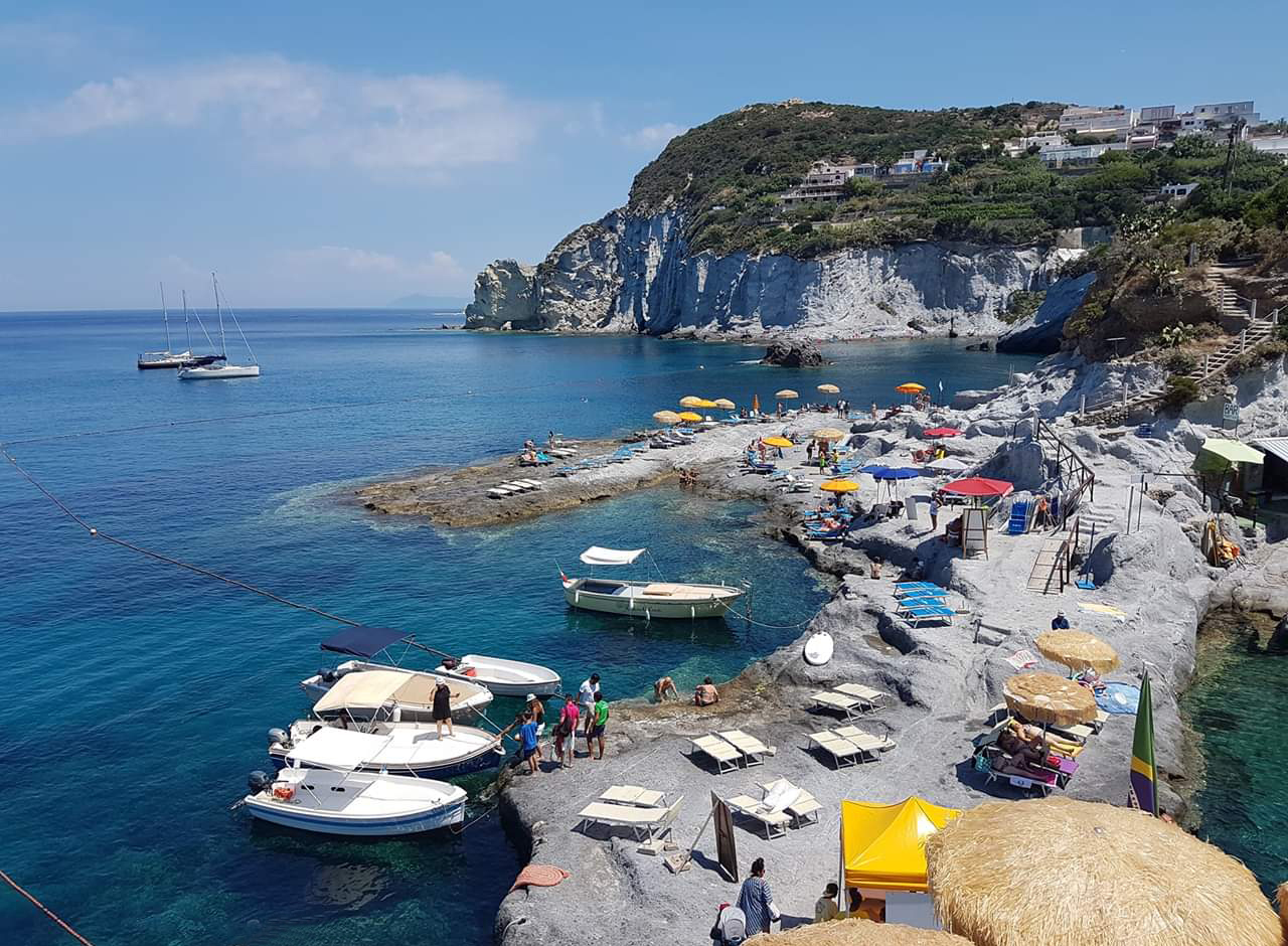 I fiori del mare (2) - Ponza Racconta